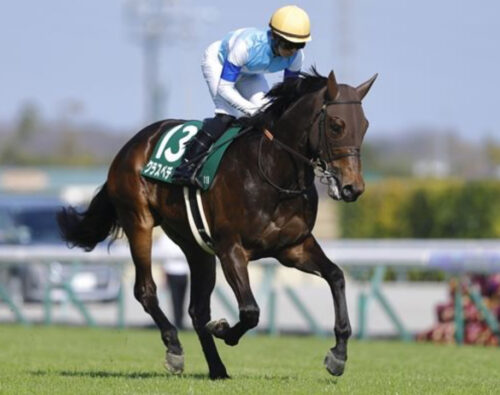 クラスペディア号